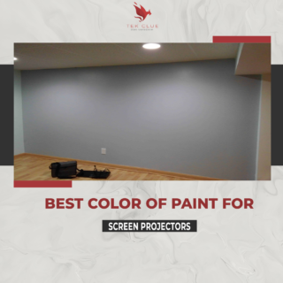 best paint for projector screen