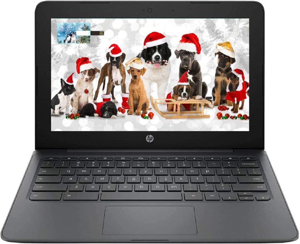 Newest HP Chromebook 11.6:
