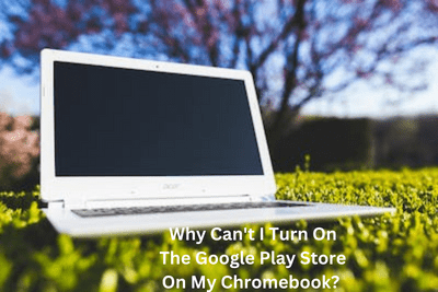 Why Can't I Turn On The Google Play Store On My Chromebook?