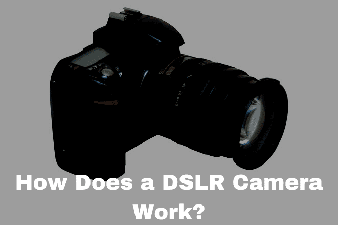 How Does a DSLR Camera Work?