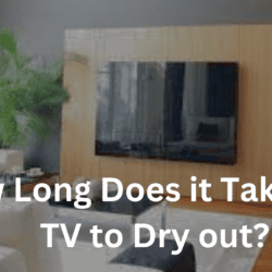 How Long Does it Take for a TV to Dry out?